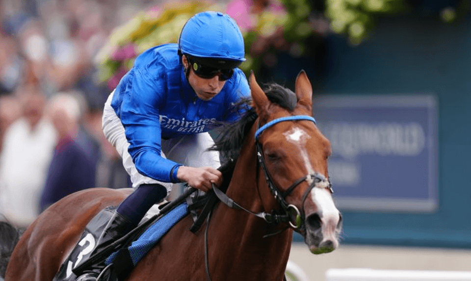 OKInfoTurf || ok info turf pmu